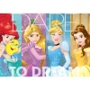 NessiWord PR714  Disney Princess / 100 Parça Puzzle