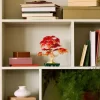 Nessiworld 10348 iconic Japon Akçaağaç Bonsai Ağacı 474 parça +18 yaş