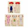 Nessiworld 2917 SUN-Tahta Puzzle İnsan Vücudu