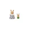 Nessiworld 5728 Sylvanian Families Gift Set Kasaba Okulu Seti +4 yaş