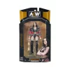 Nessiworld AEW/0001-S16 AEW Karakterleri Model Aksiyon Figür 18cm