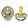 Nessiworld Bibs Colour Kauçuk Emzik 0-6 Ay Sage