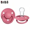 Nessiworld Bibs De Lux Silikon Emzik 0-36 Ay Coral