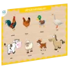 Nessiworld CAAHS-3211  AHŞAP ÇİFTLİK HAYVANLARI BUL-TAK