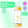 Nessiworld Chicco Perfect 5 Antikolik Biberon PP 300 ml Boy