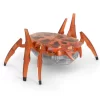 Nessiworld HexBots Nano Scarab & Beetle