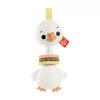 NessiWorld HRB19 Fisher-Price Sensimals Dişlik Seti