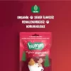 Nessiworld Humm Organik Zencefilli ve Tarçınlı Vegan Kurabiye 55 Gr