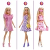 Nessiworld HXD58 Barbie ve Rüya Gardrobu