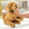 Nessiworld  MYJ00101 My Fuzzie Friends Sevimli Labrador Moji - 18207