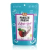 Nessiworld Pol’s Freeze Fresh Magic Ball Böğürtlenli Elma Topları 16 gr