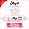Nessiworld Sleepy Yüzey Temizlik Havlusu 100 Adet Kiraz