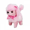 Nessiworld  Sunman Sevimli Köpek Poodle