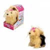 Nessiworld  Sunman Sevimli Köpek Terrier