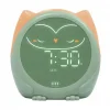 Owlie Uyku Eğitmeni