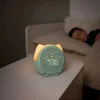 Owlie Uyku Eğitmeni