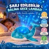 Şarj Edilebilir Balina Gece Lambası