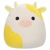 Squishmallows 20 cm Seri 19 Asorti