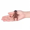 Sürpriz Paket