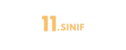 11. Sınıf