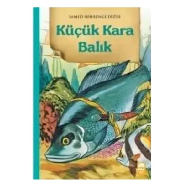 Küçük Kara Balık Ema Kitap