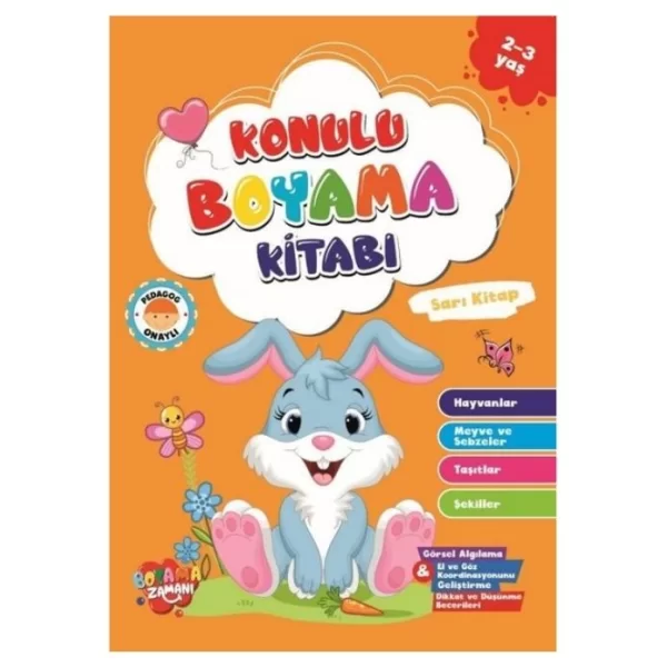 BOYAMA ZAMANI KONULU BOYAMA SARI KİTAP 2+3 YAŞ