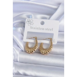316L Çelik Gold Renk İşlemeli Halka Model Kadın Küpe