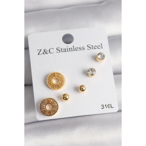 316L Çelik Gold Renk Zirkon Taşı Labirent Model Kadın Küpe Seti