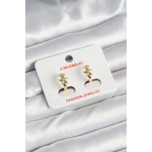 Pirinç Gold Renk Yıldız Kadın Küpe