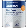 AKZONOBEL NEO COLOR RENKLİ EXPRES AKRİLİK ASTAR ( SİYAH2,5 LT )
