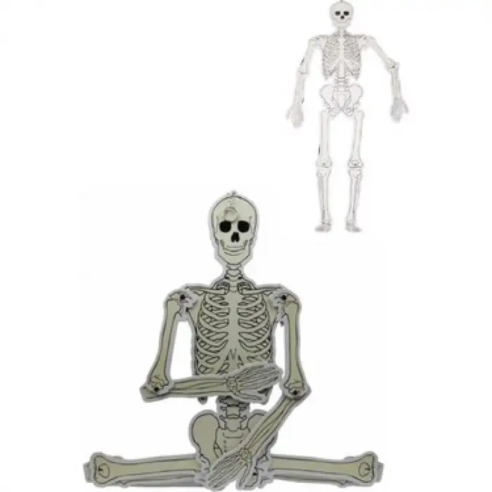 MİSYON KARTON İSKELET MODEL YAPIMI MSY-1962