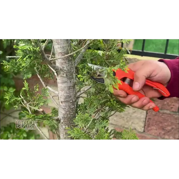 LETMAK KAVİSÖRS HASAT MAKASI A-1521