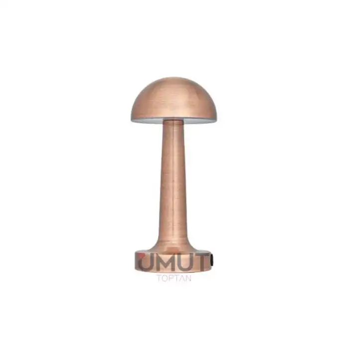 CATA LİZBON MASA LAMBASI ŞARJLI CT-8430