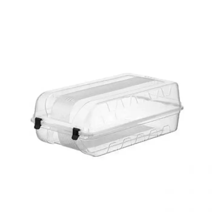 BEE HOME AYAKKABI KUTUSU BAYAN BEE-677