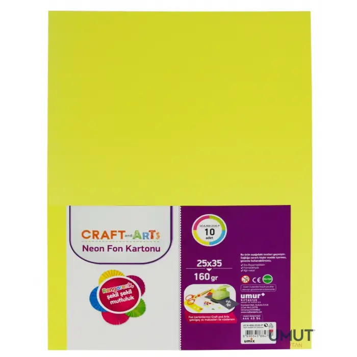 BEESTAR RULO FON KARTONU 10 RENK (PKT-10 LU )