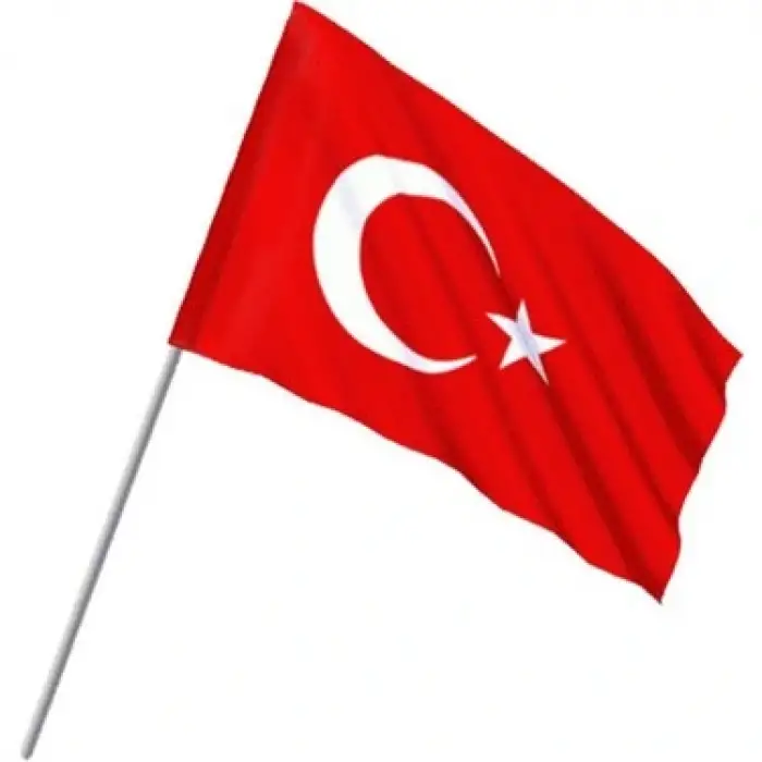 CEKA SAPLI BEZ BAYRAK 10 LU