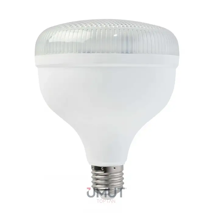 HOROZ CRYSTAL-30 LED AMPUL 6400K 30 W