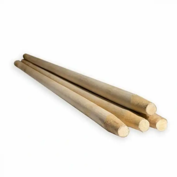 KÜREK SAPI ROKET UCUZ