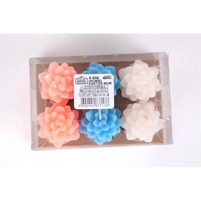 NUR KAKTÜS MUM (AÇMIŞ) 6 LI X-656