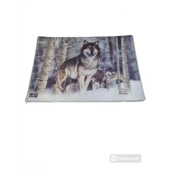 RESİM DEFTERİ 3D 25X35 (PKT-6 LI)