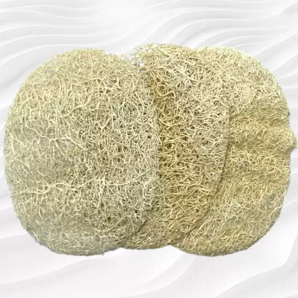 ANCHOR LOOFAH DİSK PEELİNG 3 LÜ 2002