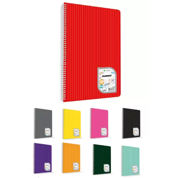 ÇINAR A4 METOT PP KAPAK 100-1 DEFTER 6LI (KL-48Lİ)