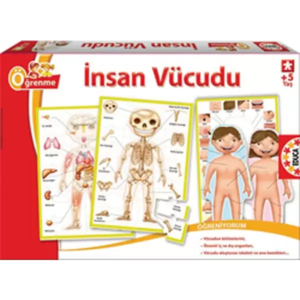 İNSAN VÜCUDU PUZZLE 15226