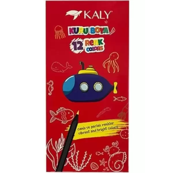 KALY KURU BOYA 12 Lİ 612