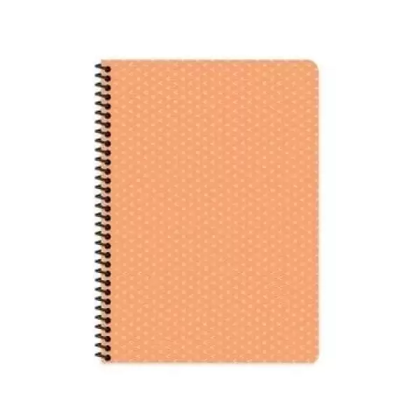 KESKİN SAGUARO DEFTER 17X24 KARELİ SPR.100 YP.