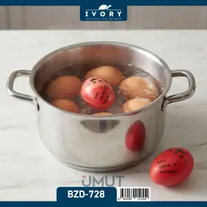 IVORY YUMURTA DUBLÖRÜ ZAMANLAYICISI BZD-728-2795