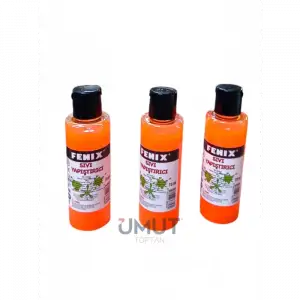 FENİX KIRM. SLİME SIVI YAPIŞTIRICI 70ML (PKT-12Lİ)