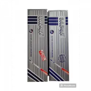 SAMUR SULUBOYA FIRÇASI NO:00