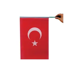 VATAN 30X45 SAPLI RAŞEL BAYRAK VT-238 (PKT-10LU)