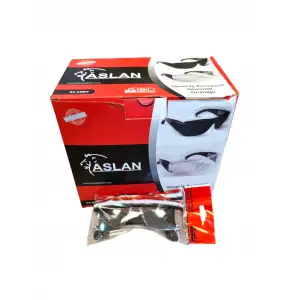 ASLAN KORUYUCU GÖZLÜK ŞEFFAF (PKT-24 LÜ)